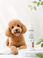 Poodle Irkına Özel Şampuan - Görsel 3
